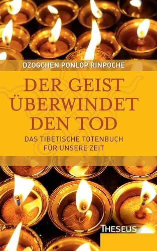 Brigitte Schnoor Der Geist überwindet den Tod: Das tibetische Totenbuch für unsere Zeit