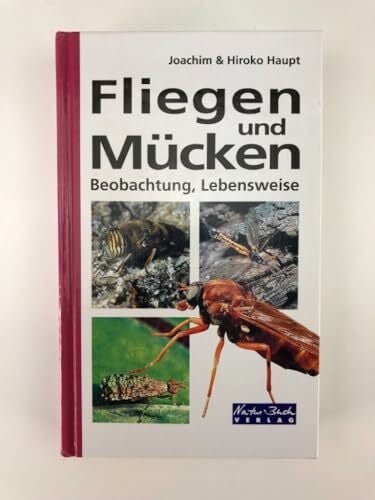 Haupt, Joachim + Hiroko Fliegen und Mücken