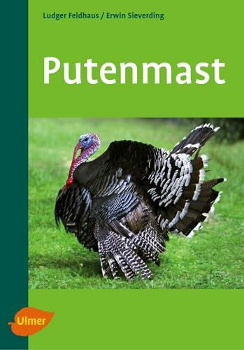 Sieverding, Erwin Putenmast