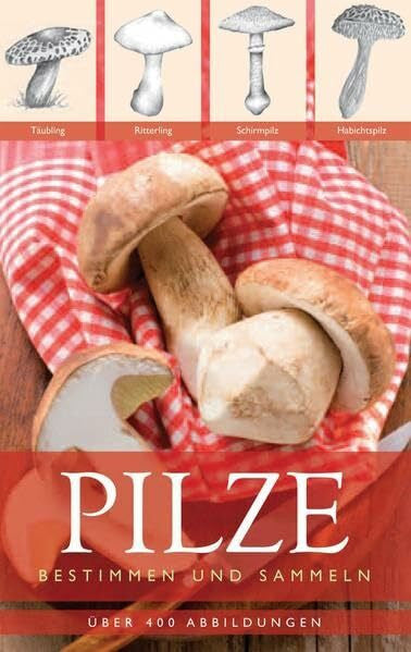 Lohmeyer, Till R. Pilze: Bestimmen und sammeln