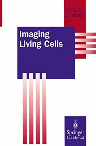 Rizzuto, Rosario Imaging Living Cells (Springer Lab Manual)