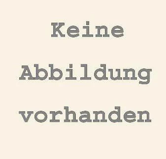 Günther Holzboog Formale Sprache und Erfahrung: Carnap als Modellfall (problemata)
