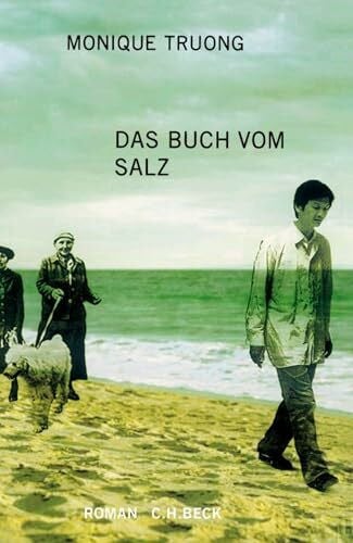 Rojahn-Deyk, Barbara Das Buch vom Salz: Roman