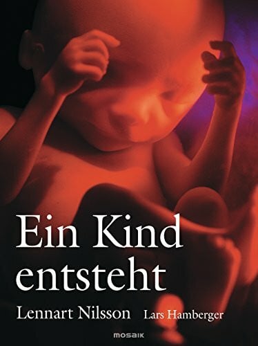 Schneider, Lothar Ein Kind entsteht