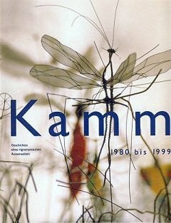 Ragni, Christian Kamm 1980-1999: Geschichten eines nigromantischen Aussenseiters