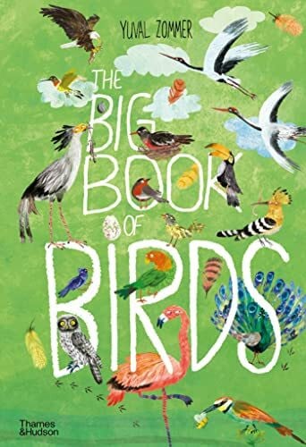Zommer, Yuval The Big Book of Birds