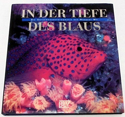 Norbert Wu In der Tiefe des Blaus
