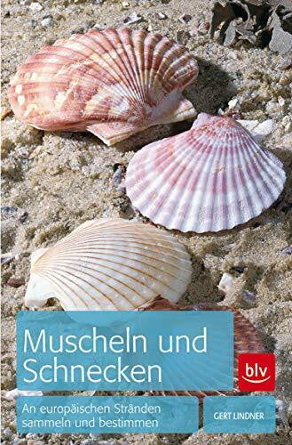 Lindner, Gert Muscheln und Schnecken: An europäischen Stränden sammeln und bestimmen