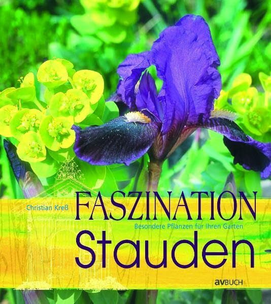 Kress, Christian Faszination Stauden: Besondere Pflanzen für Ihren Garten