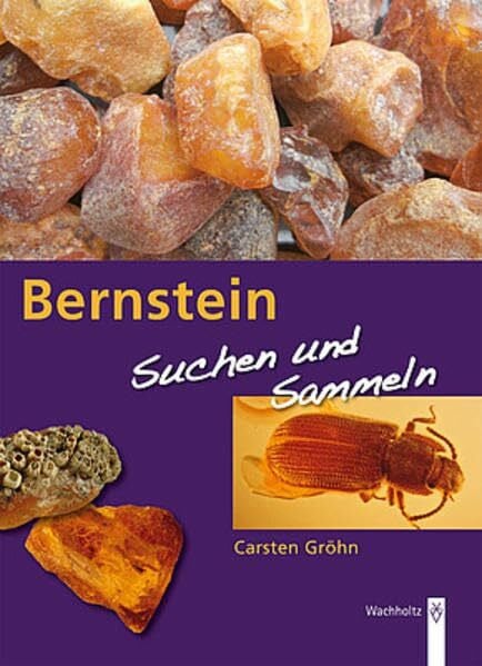 Gröhn, Carsten Bernstein: Suchen und sammeln