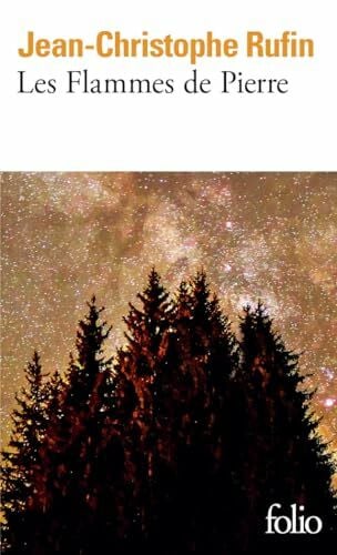 Rufin, Jean-Christophe Les flammes de pierre