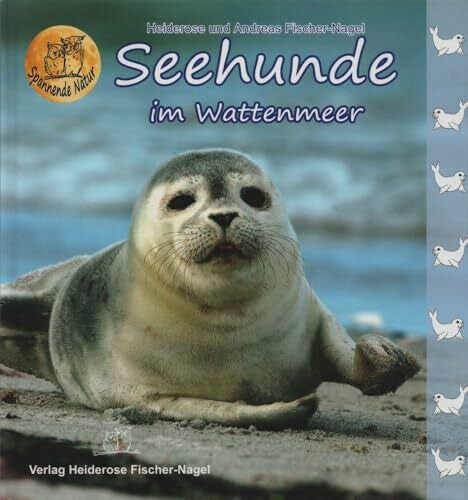 Fischer-Nagel, Andreas Seehunde im Wattenmeer