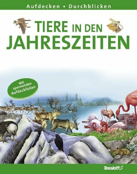 Pastorelli, Antonella Tiere in den Jahreszeiten (Aufdecken - Durchblicken)