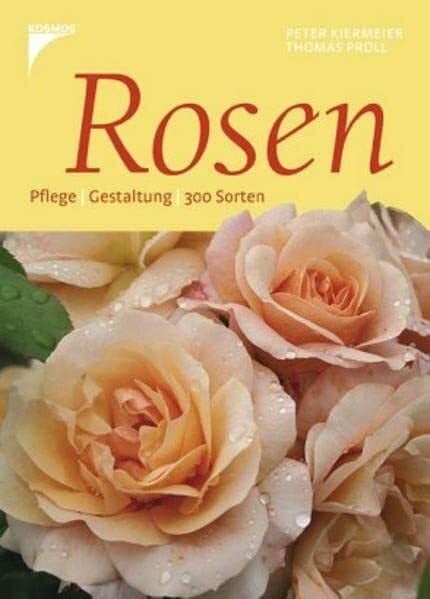 Proll, Thomas Rosen