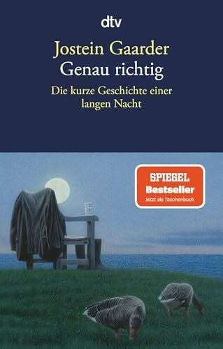 Haefs, Gabriele Genau richtig: Die kurze Geschichte einer langen Nacht