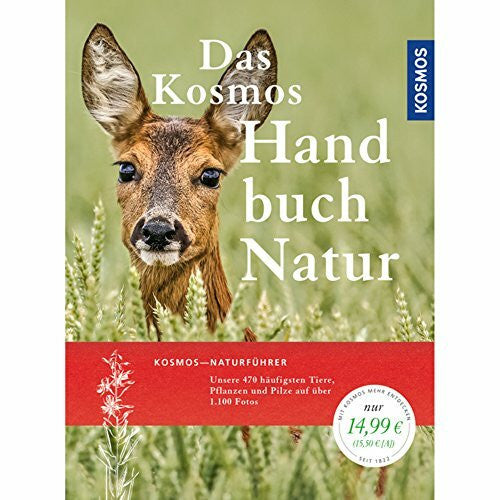 Eva-Maria, Dreyer Handbuch Natur: Tiere, Pflanzen und Pilze kennen lernen