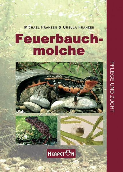 Franzen, Ursula Feuerbauchmolche. Pflege und Zucht