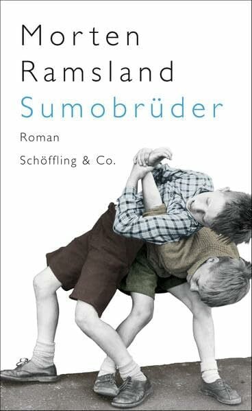 Sonnenberg, Ulrich Sumobrüder: Roman
