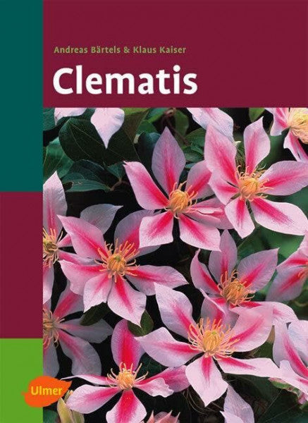 Kaiser, Klaus Clematis