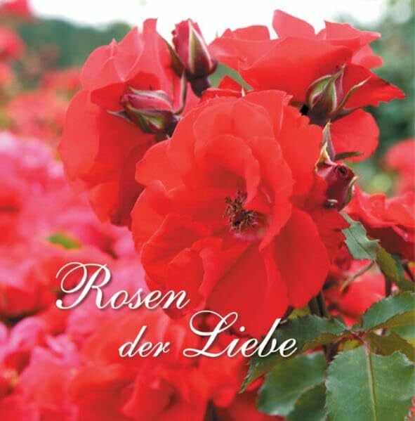 Gabriele Rosen der Liebe