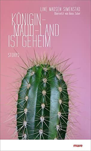 Ilona Zuber Königin-Maud-Land ist geheim: Storys