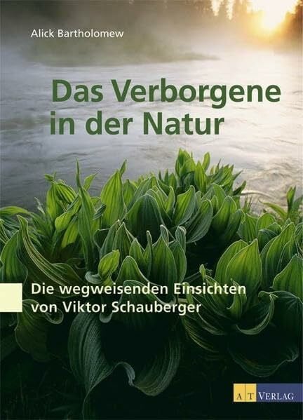 Seipel, Gunther Das Verborgene in der Natur: Die wegweisenden Einsichten von Viktor Schauberger