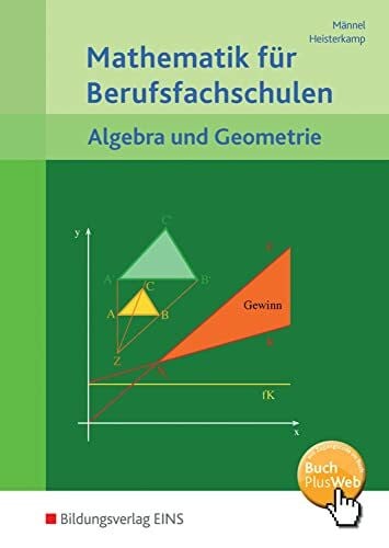 Heisterkamp, Markus Mathematik für Berufsfachschulen: Algebra und Geometrie Schulbuch