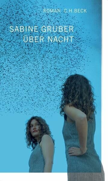 Gruber, Sabine Über Nacht: Roman