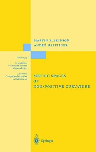 Häfliger, André Metric Spaces of Non-Positive Curvature (Grundlehren der mathematischen Wissenschaften, 319, Band 319)