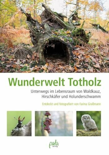 Graßmann, Farina Wunderwelt Totholz: Unterwegs im Lebensraum von Waldkauz, Hirschkäfer und Holunderschwamm Entdeckt und fotografiert von Farina Graßmann