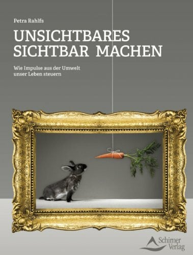 Rahlfs, Petra Unsichtbares sichtbar machen: Wie Impulse aus der Umwelt unser Leben steuern