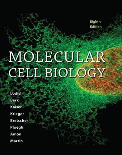 Martin, Kelsey C. Molecular Cell Biology