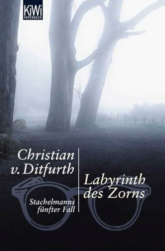 Ditfurth, Christian von Labyrinth des Zorns: Stachelmanns fünfter Fall (Stachelmann ermittelt, Band 5)