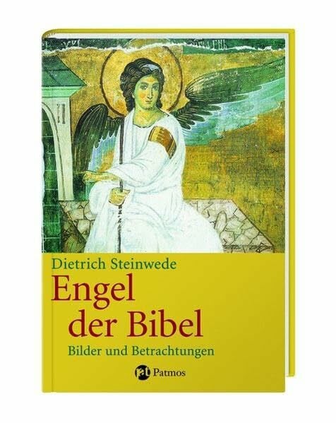 Steinwede, Dietrich Engel der Bibel: Bilder und Betrachtungen