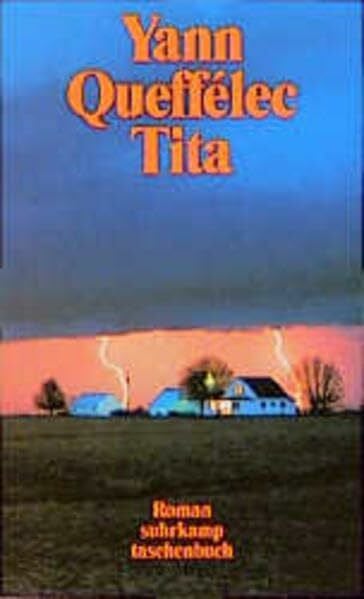 Antz, Sylvia Tita: Roman (suhrkamp taschenbuch)