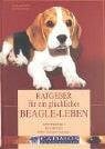 Kronz, Bärbel Ratgeber für ein glückliches Beagle-Leben: Verstehen - Erziehen - Mit ihnen leben (Cadmos Hundebuch)