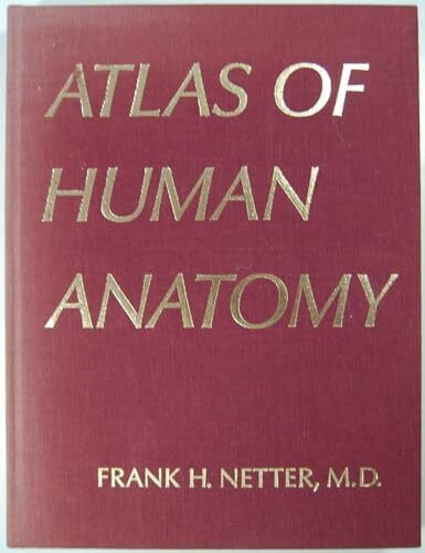 Netter, Frank H. Atlas of Human Anatomy