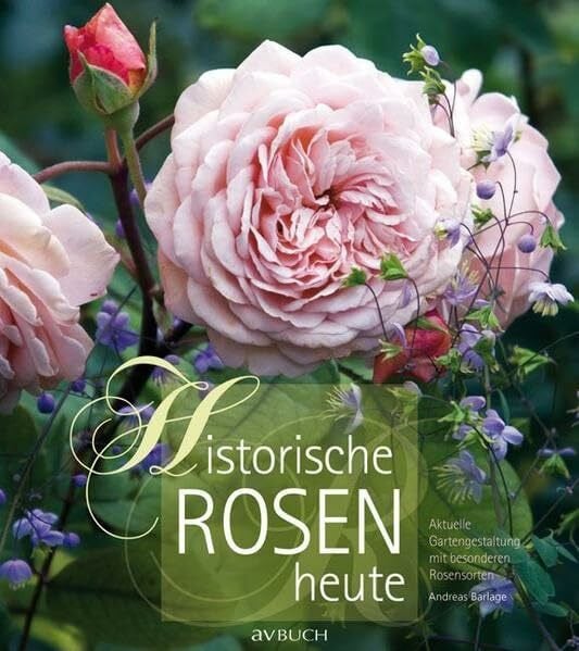 Barlage, Andreas Historische Rosen heute: Aktuelle Gartengestaltung mit besonderen Rosensorten