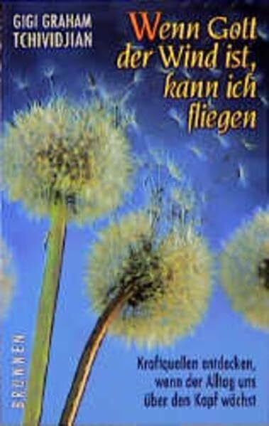 Krause, Gerlind Wenn Gott der Wind ist, kann ich fliegen: Kraftquellen entdecken, wenn der Alltag uns über den Kopf wächst (ABCteam-Paperback - Brunnen)