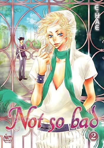 E.Hae Not So Bad Volume 2 (NOT SO BAD GN)