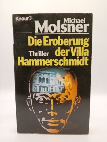 Molsner, Michael Die Eroberung der Villa Hammerschmidt (Knaur Taschenbücher. Romane, Erzählungen)