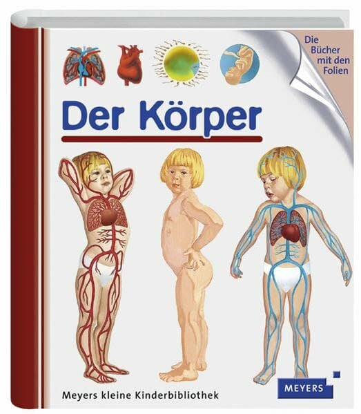 Sylvaine Pèrols Der Körper: Der Korper (Meyers kleine Kinderbibliothek)