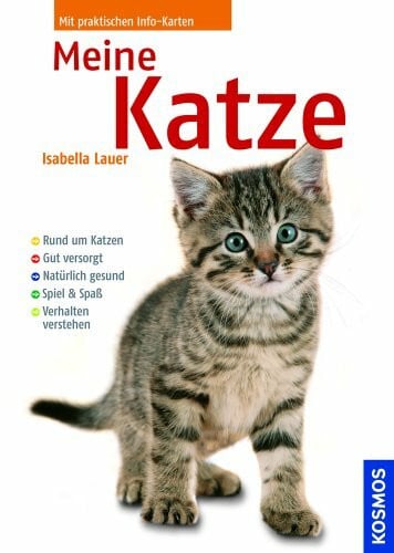 Meine Katze