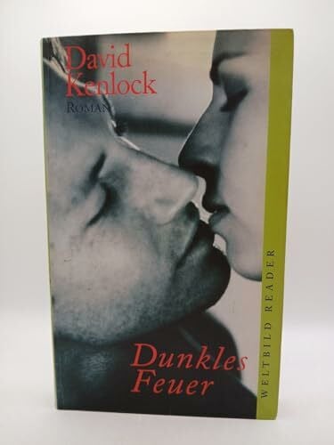 David Kenlock Dunkles Feuer : Roman.