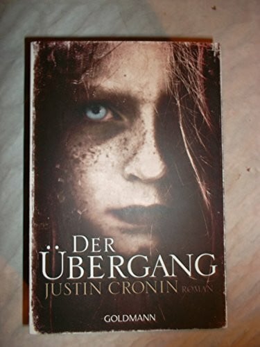 Schmidt, Rainer Der Übergang: Passage-Trilogie 1 - Roman