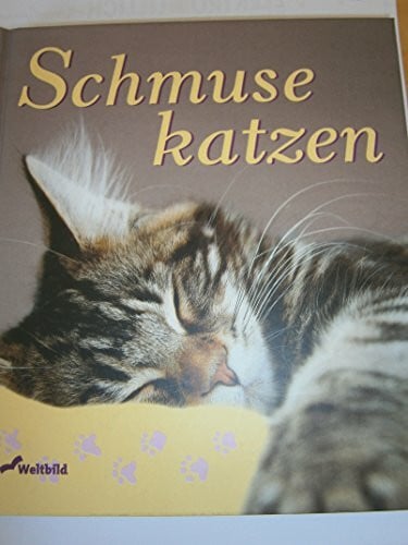Auberger, Monika Schmusekatzen