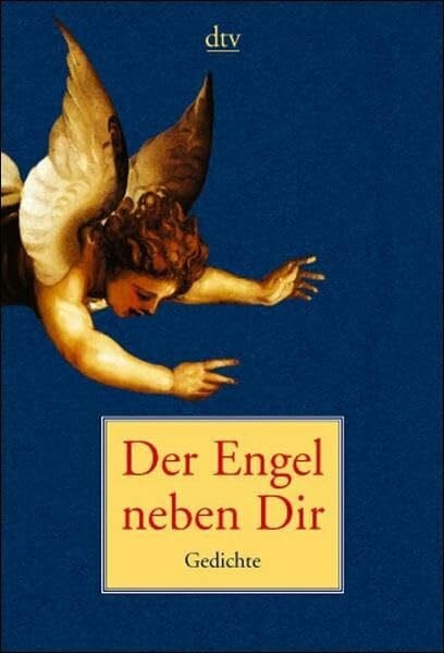 Ripkens, Martin Der Engel neben Dir: Gedichte zwischen Himmel und Erde (dtv Unterhaltung)