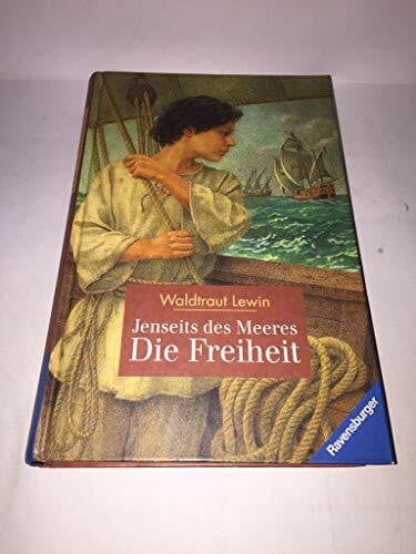 Lewin, Waldtraut Jenseits des Meeres -Die Freiheit (Jugendliteratur ab 12 Jahre)