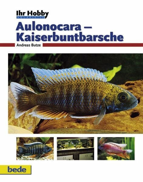 Butze, Andreas Aulonocara - Kaiserbuntbarsche, Ihr Hobby