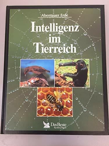Michael Bright Abenteurer Erde - Intelligenz im Tierreich